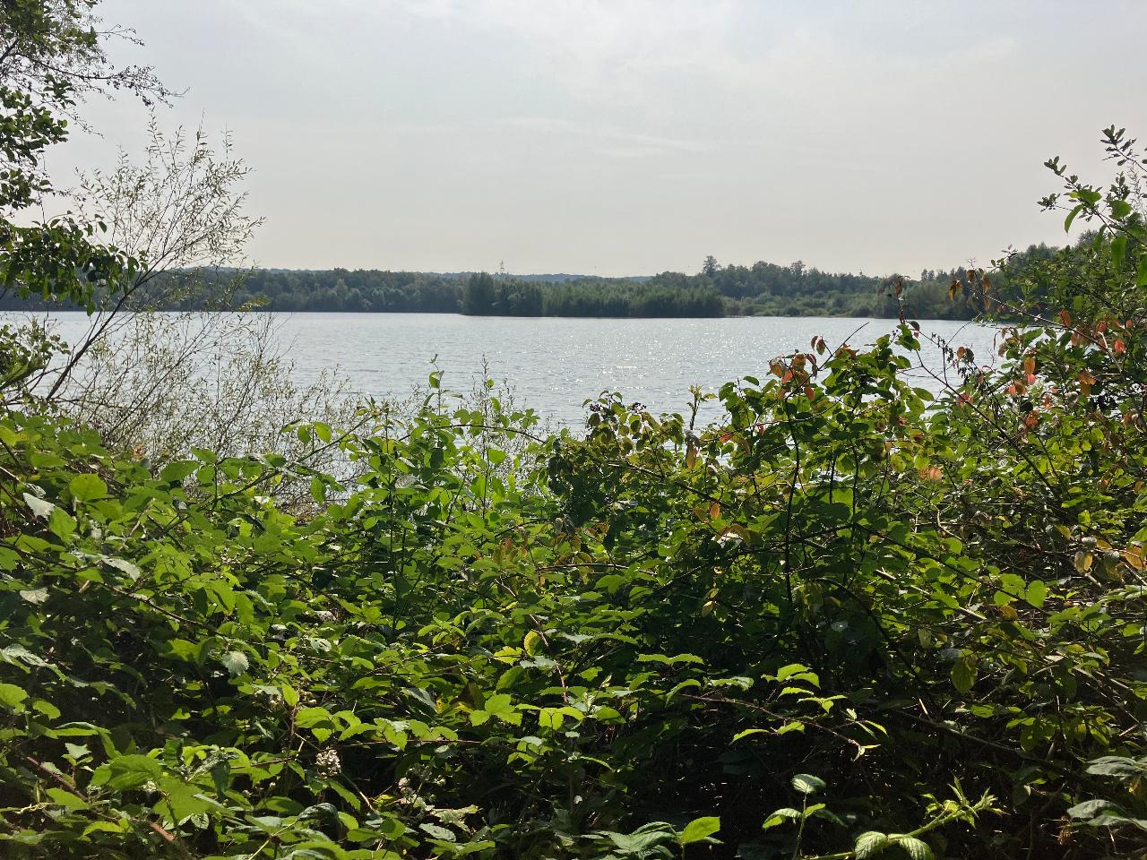 Blick auf den Silbersee (Angelika Genieser).