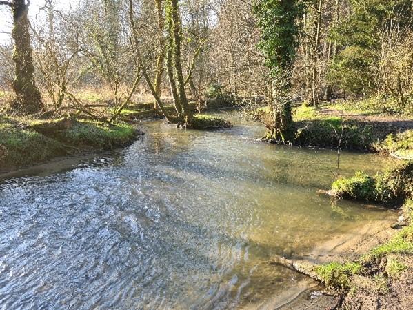 Blick auf die Anger im Angertal (Foto: Uwe Radtke)