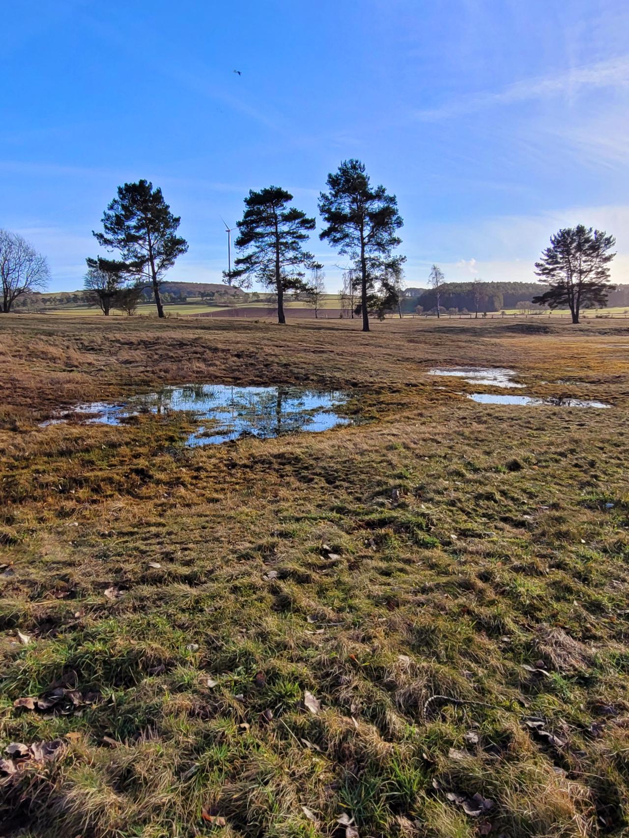 Landschaftsplan "Kall"