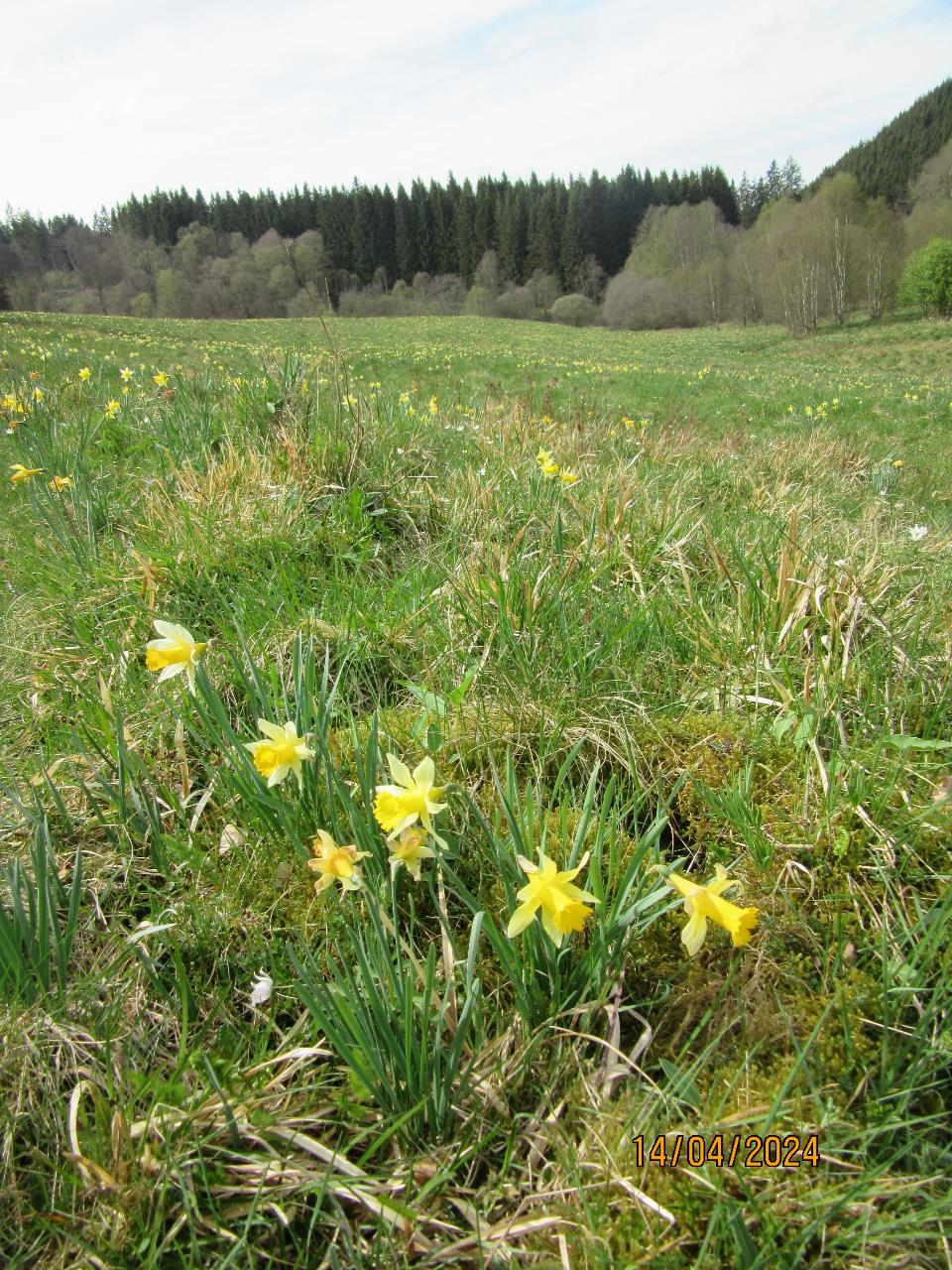 Landschaftsplan "Hellenthal"