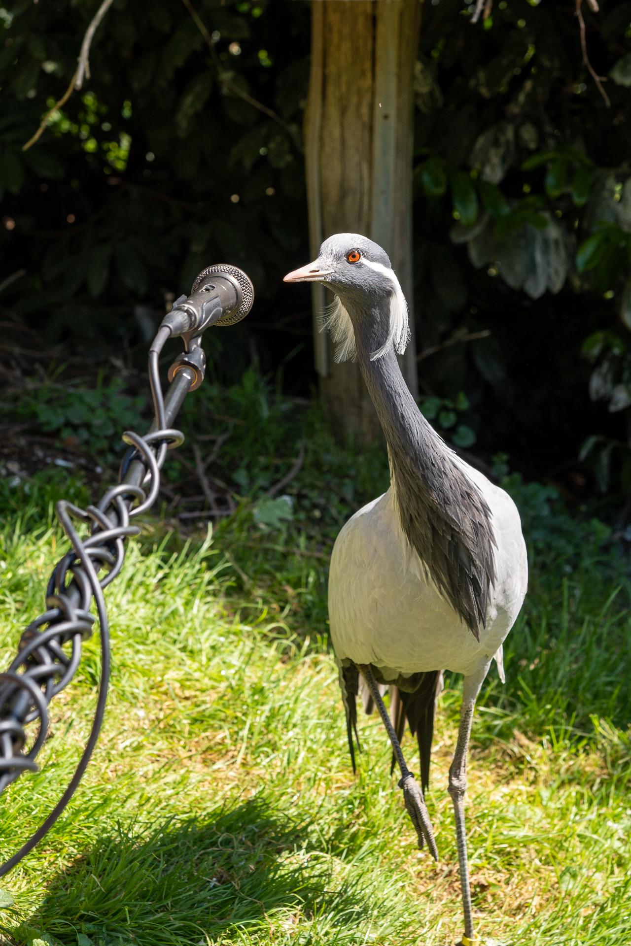 Johannes Hofmann (NWD)